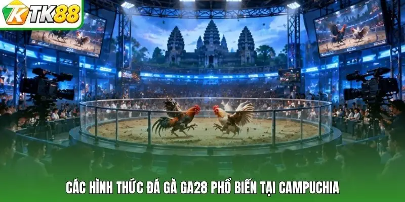 Các hình thức đá gà GA28 phổ biến tại Campuchia