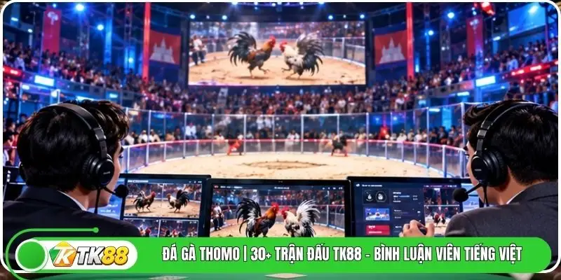 Đá Gà Thomo | 30+ Trận Đấu Tk88 - Bình Luận Viên Tiếng Việt